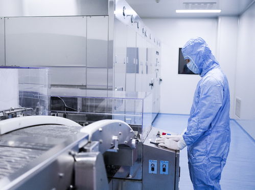 轉型綜改主戰場 鳳凰涅槃新引擎