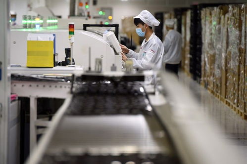 自貿(mào)試驗區(qū)助力中國高水平對外開放